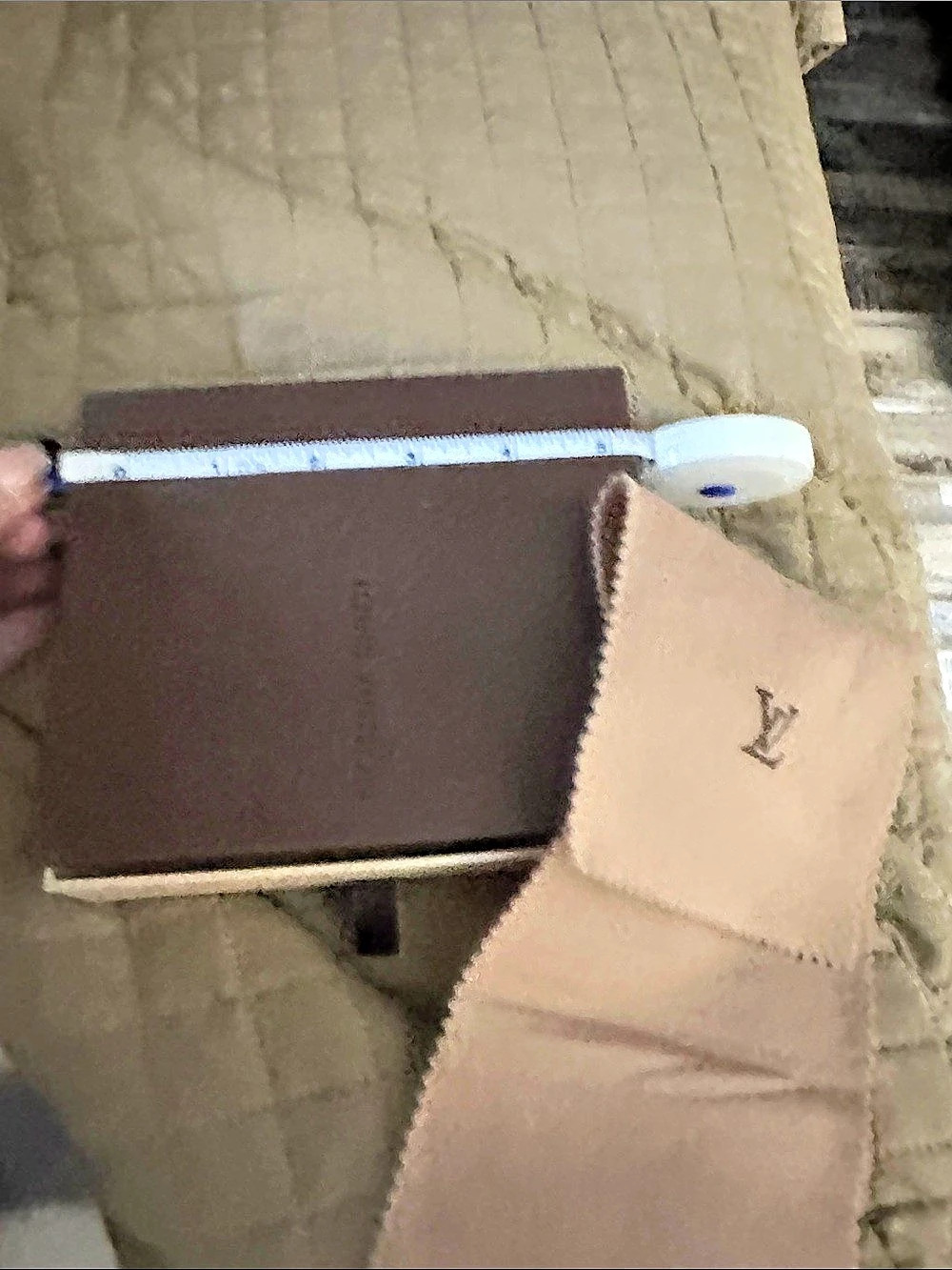 Louis Vuitton Brown box and dust wrap